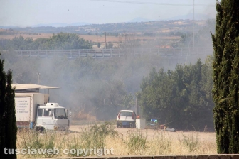 Viterbo - Vasto incendio al cimitero San Lazzaro - L'intervento dei soccorritori