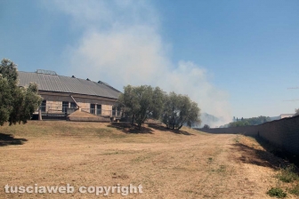 Viterbo - Vasto incendio al cimitero San Lazzaro - L'intervento dei soccorritori