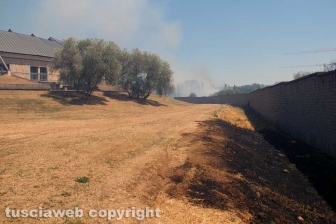 Viterbo - Vasto incendio al cimitero San Lazzaro - L'intervento dei soccorritori
