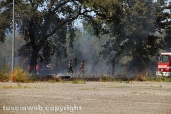 Viterbo - Vasto incendio al cimitero San Lazzaro - L'intervento dei soccorritori