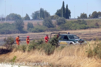 Viterbo - Vasto incendio al cimitero San Lazzaro - L'intervento dei soccorritori