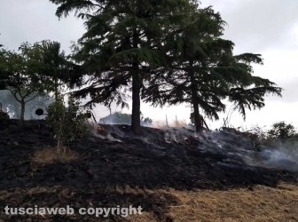 Incendio di sterpaglie in via Carpine