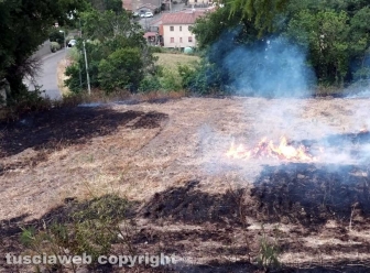 Incendio di sterpaglie in via Carpine
