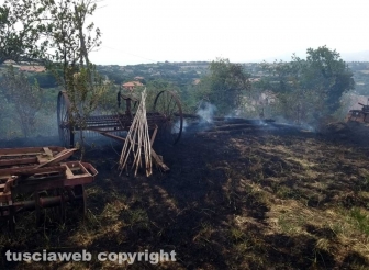 Incendio di sterpaglie in via Carpine