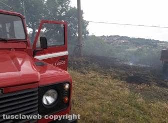 Incendio di sterpaglie in via Carpine