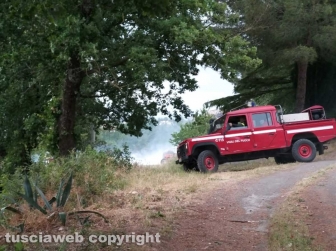 Incendio di sterpaglie in via Carpine