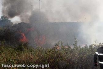 Incendio in località le Masse