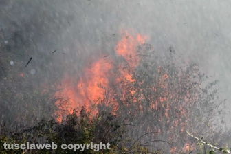 Incendio in località le Masse