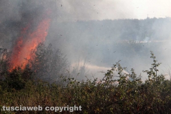 Incendio in località le Masse