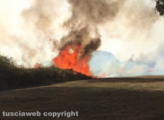 Incendio in località le Masse