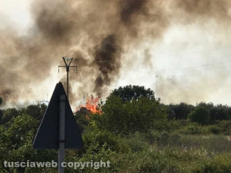Incendio in località le Masse