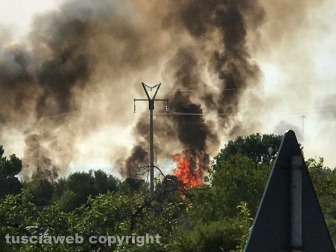 Incendio in località le Masse