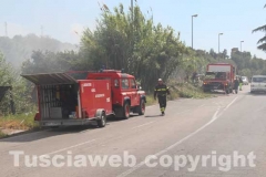 Canneto e sterpaglie a fuoco in strada Bagni