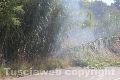 Canneto e sterpaglie a fuoco in strada Bagni