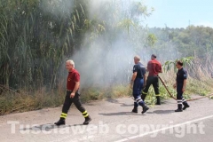 Canneto e sterpaglie a fuoco in strada Bagni