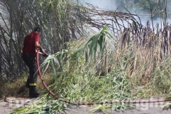 Canneto e sterpaglie a fuoco in strada Bagni