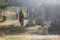 Canneto e sterpaglie a fuoco in strada Bagni