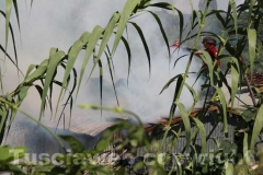 Canneto e sterpaglie a fuoco in strada Bagni