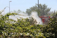 Canneto e sterpaglie a fuoco in strada Bagni