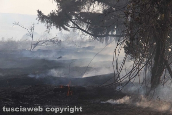 Incendio in strada Quartuccio