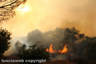 Incendio in strada Quartuccio