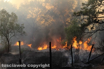 Incendio in strada Quartuccio