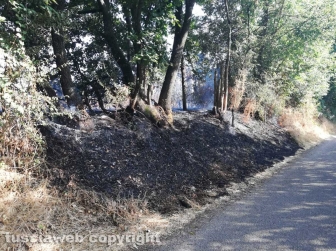 Incendio in strada Signorino