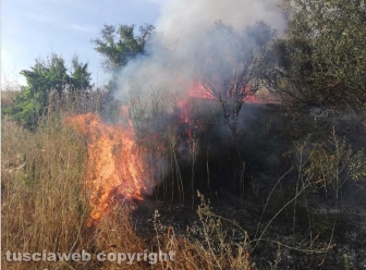 Incendio in strada Signorino