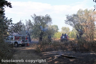 Viterbo - Incendio in via Edoardo Bordoni