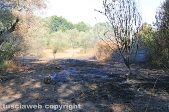 Viterbo - Incendio in via Edoardo Bordoni