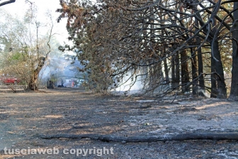 Viterbo - Incendio in via Edoardo Bordoni