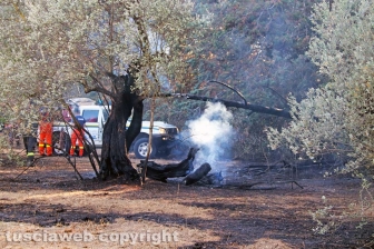 Viterbo - Incendio in via Edoardo Bordoni