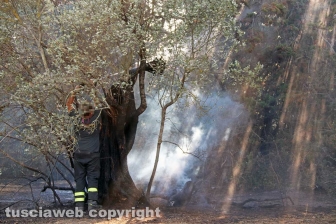 Viterbo - Incendio in via Edoardo Bordoni