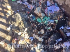 I cassonetti bruciati in via Saragat