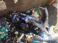 I cassonetti bruciati in via Saragat