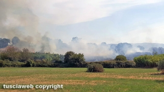 Incendio sulla Barbaranese