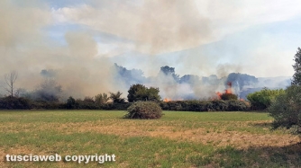 Incendio sulla Barbaranese