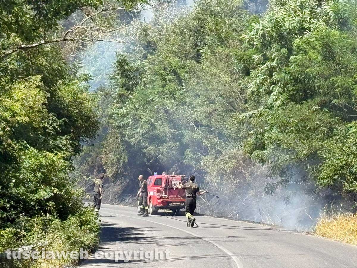 Vasto incendio lungo la strada statale 2 Cassia, nel tratto che da Montefiascone conduce verso Bolsena