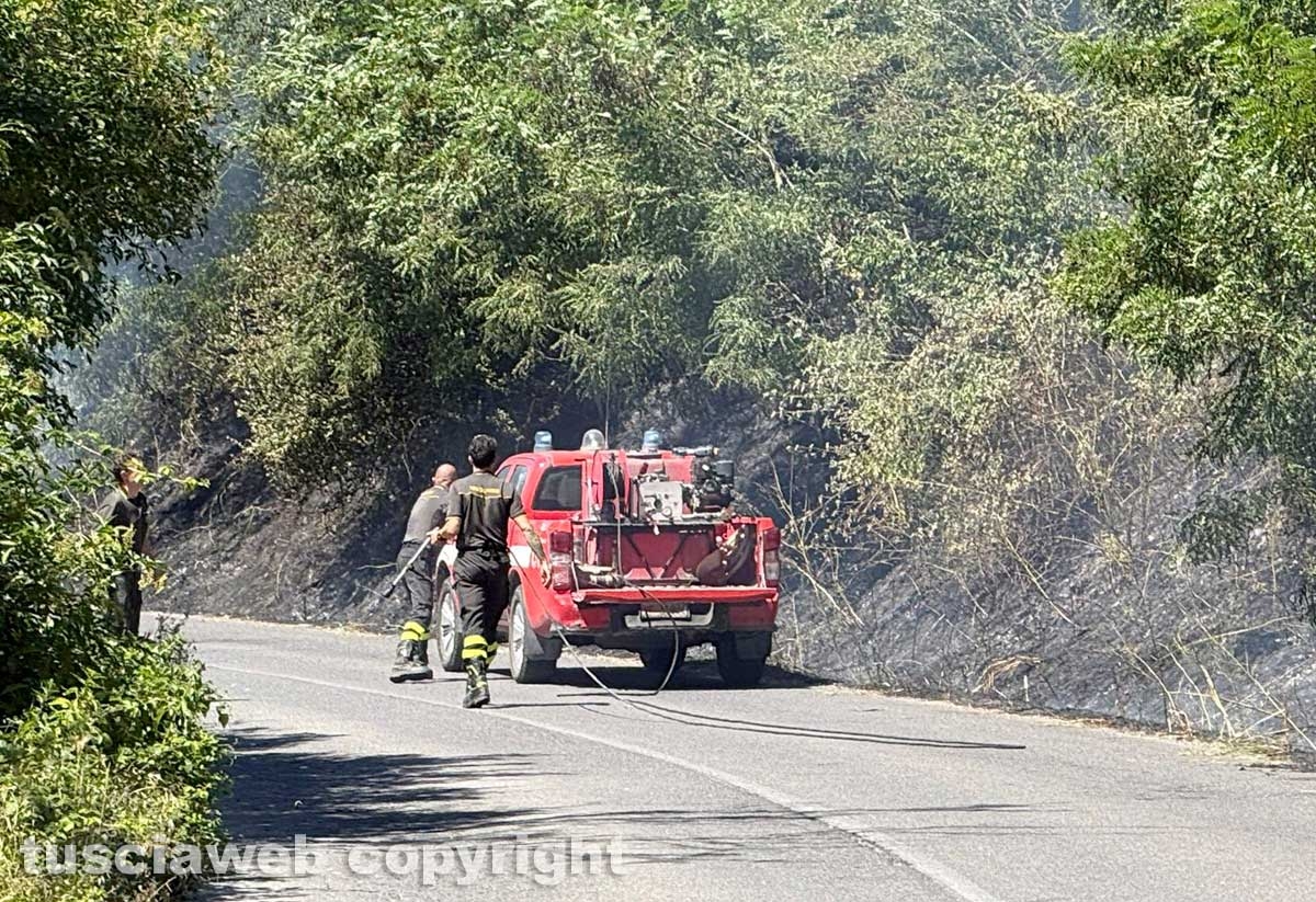 Vasto incendio lungo la strada statale 2 Cassia, nel tratto che da Montefiascone conduce verso Bolsena