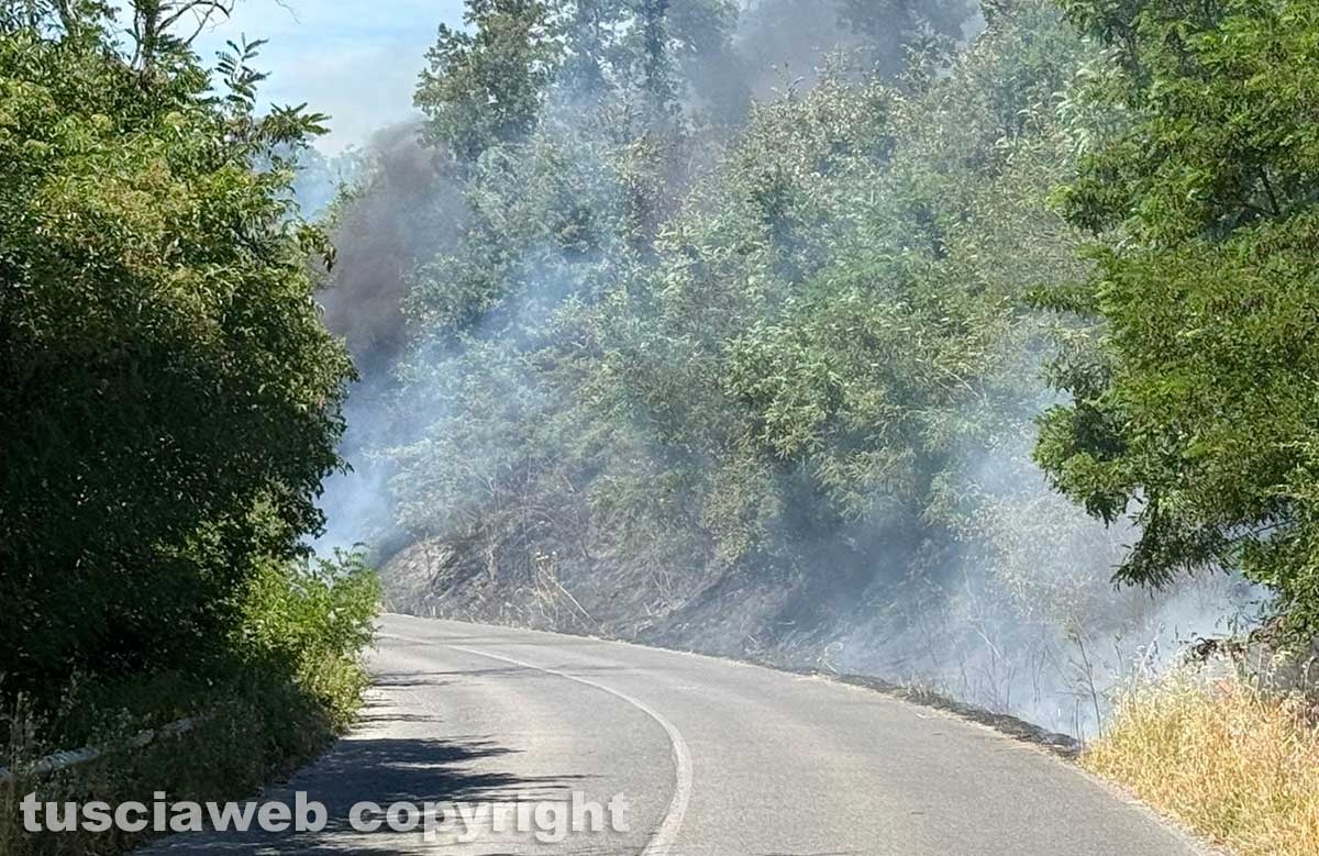 Vasto incendio lungo la strada statale 2 Cassia, nel tratto che da Montefiascone conduce verso Bolsena