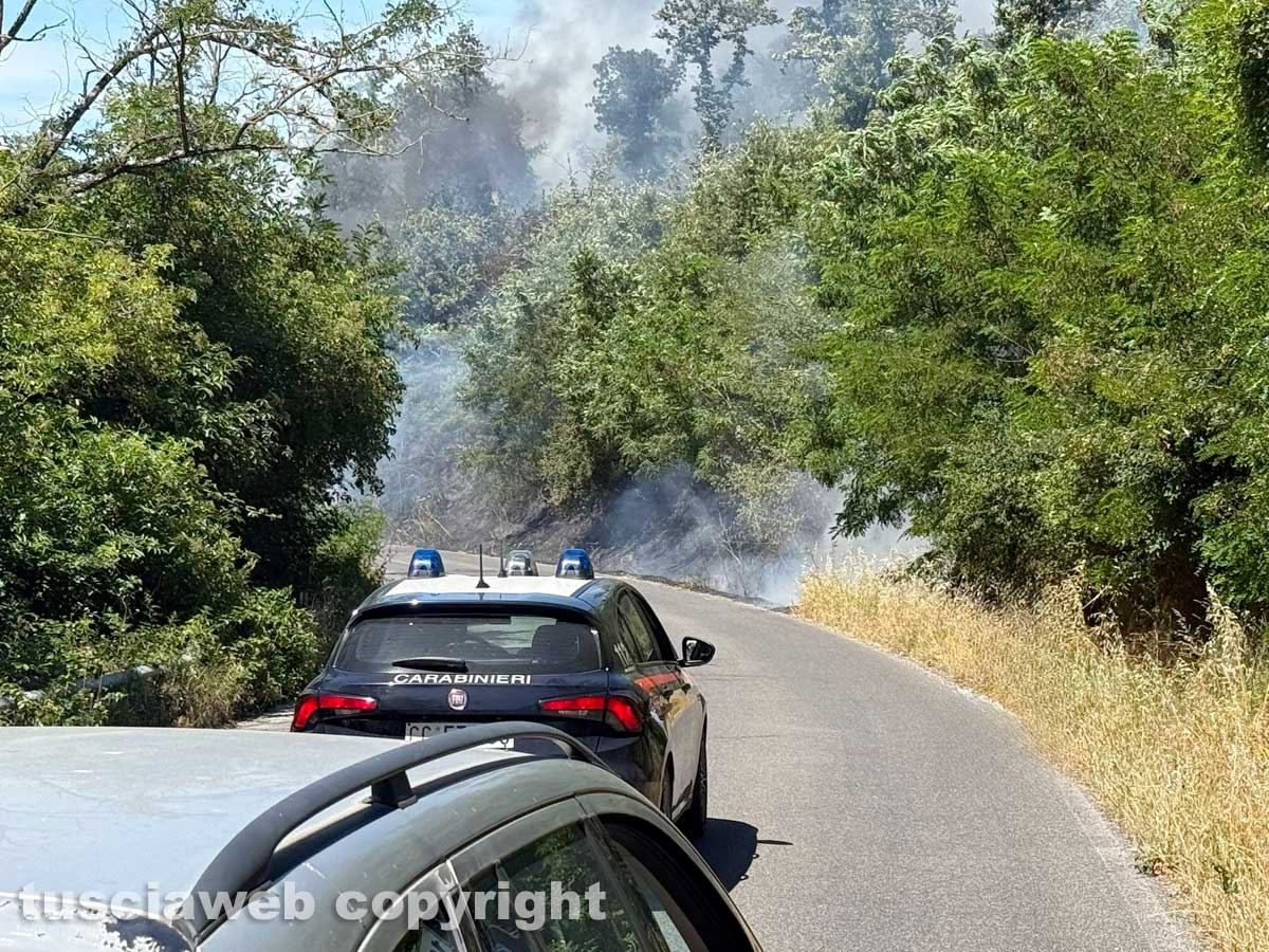 Vasto incendio lungo la strada statale 2 Cassia, nel tratto che da Montefiascone conduce verso Bolsena