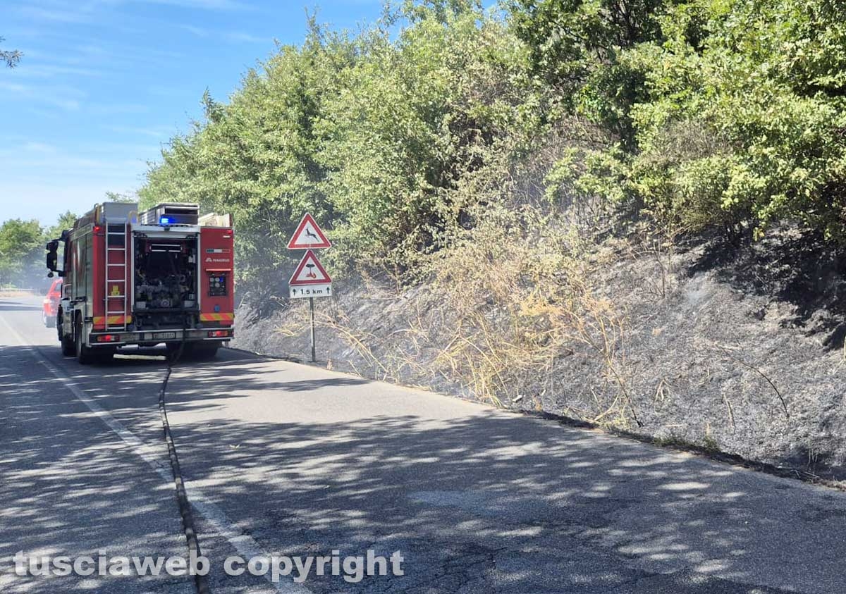 Vasto incendio lungo la strada statale 2 Cassia, nel tratto che da Montefiascone conduce verso Bolsena - L'auto che andata a fuoco - I vigili del fuoco