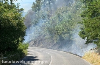 Vasto incendio lungo la strada statale 2 Cassia, nel tratto che da Montefiascone conduce verso Bolsena