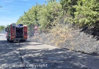 Vasto incendio lungo la strada statale 2 Cassia, nel tratto che da Montefiascone conduce verso Bolsena - L'auto che andata a fuoco - I vigili del fuoco