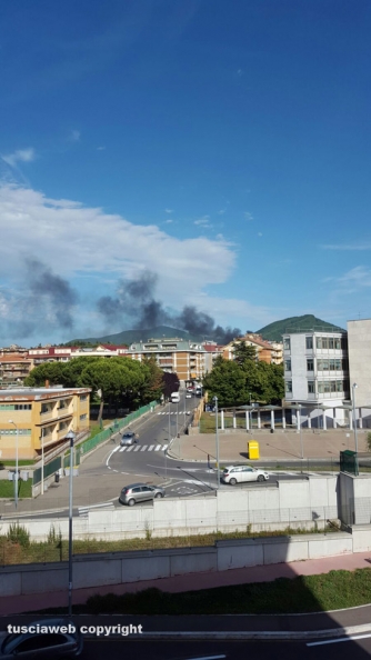 Incendio sulla Palanzana