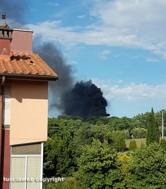 Incendio sulla Palanzana