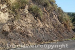 Incendio a ridosso dell\'ospedale