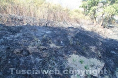 Incendio a ridosso dell\'ospedale