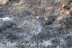 Incendio a ridosso dell\'ospedale