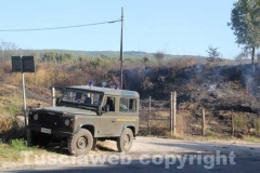 Il traffico sulla Sammartinese